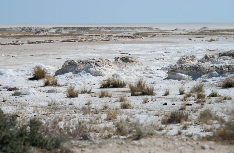 Etosha Pan landscape, Namibia