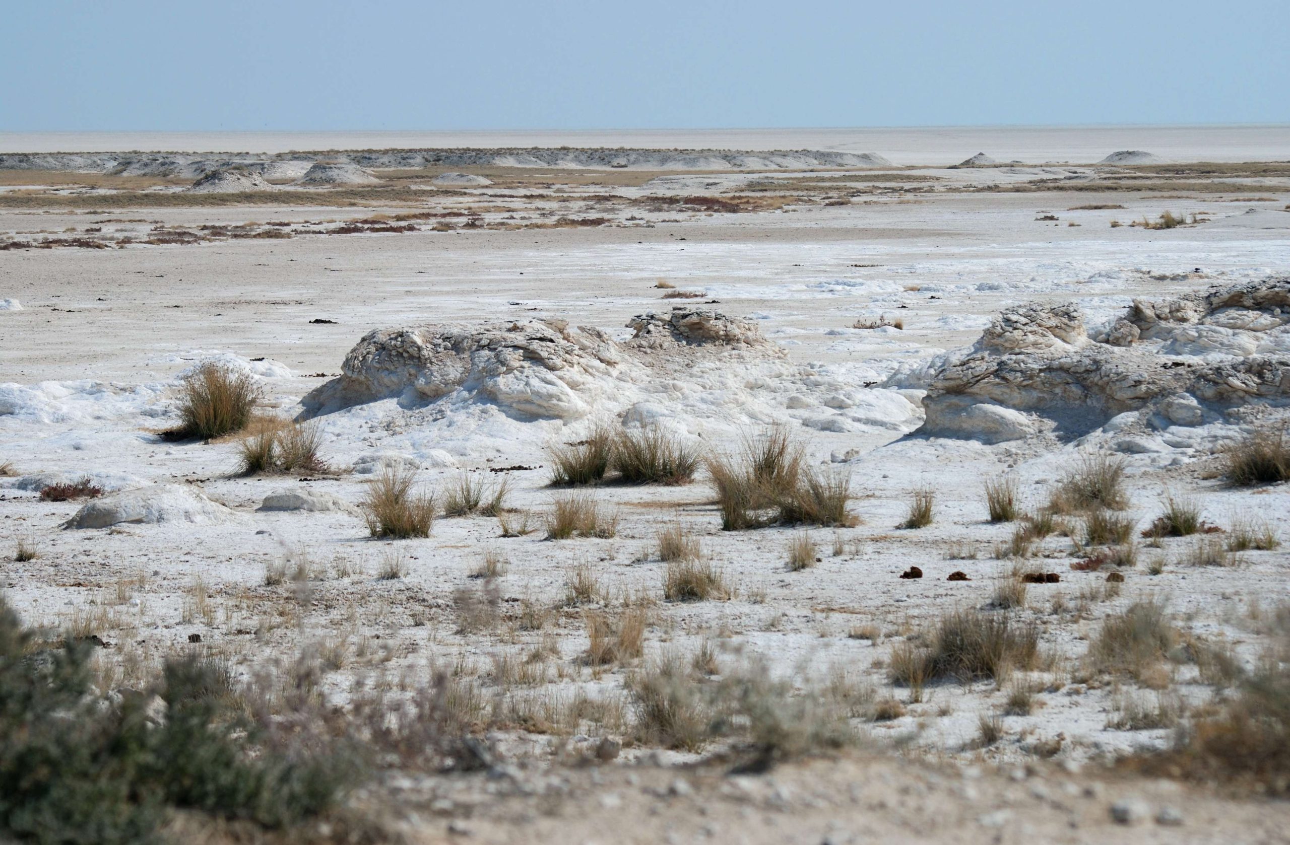 Etosha National Park
